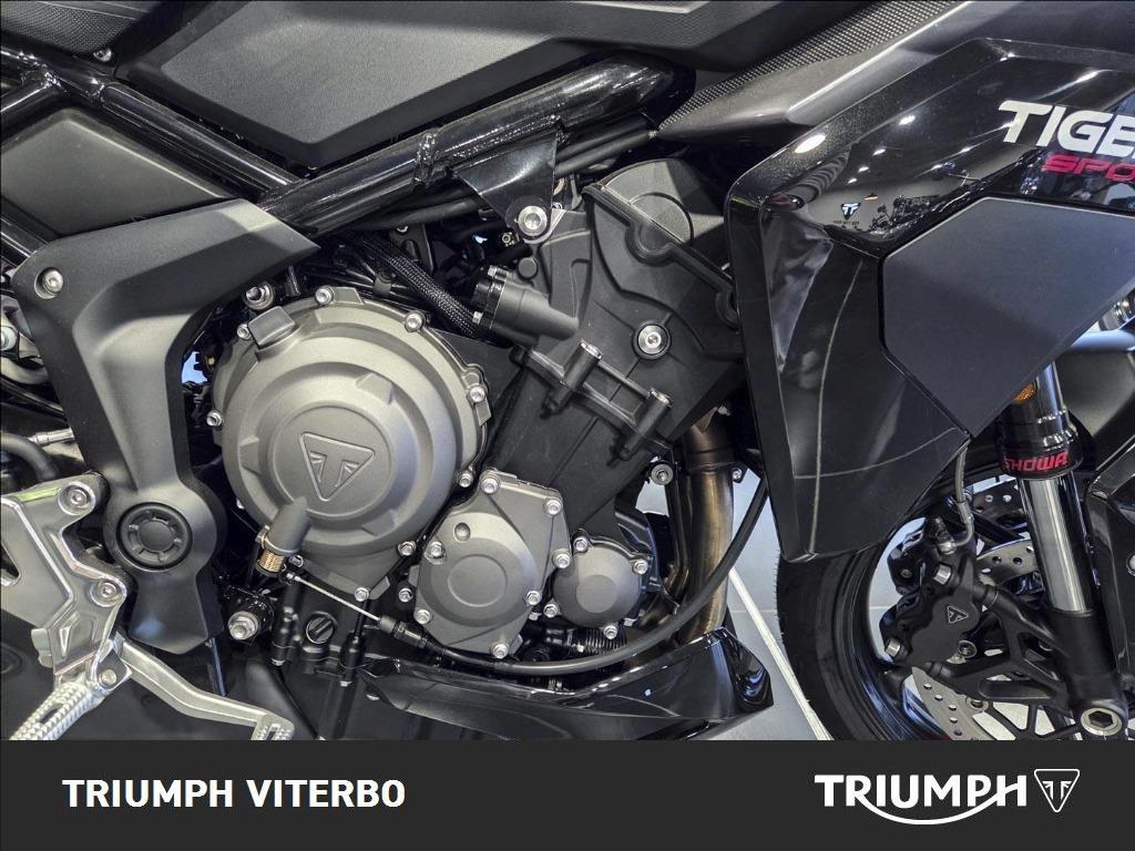 TRIUMPH Tiger Sport 800 Abs